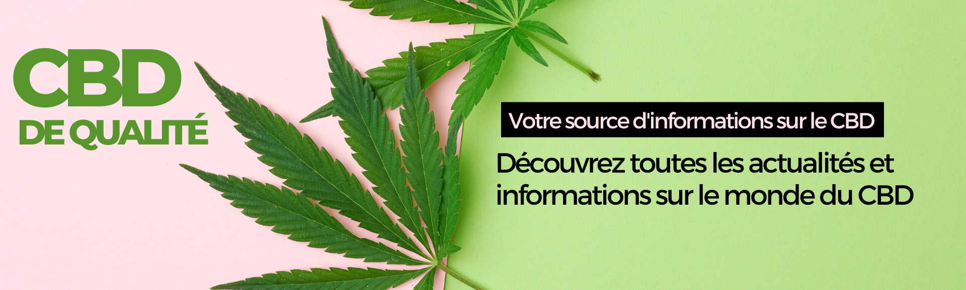 Cbd de qualité 